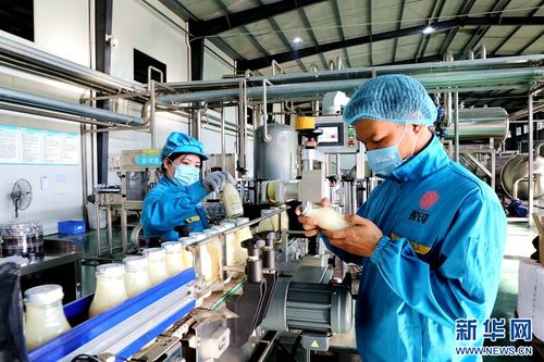 江西廣昌 工廠生產忙 奮戰 開門紅